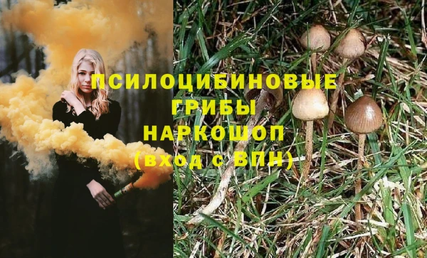 гашик Нязепетровск