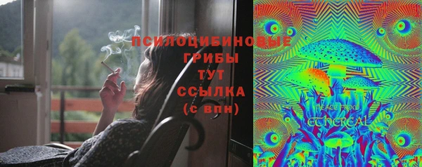 мескалин Весьегонск