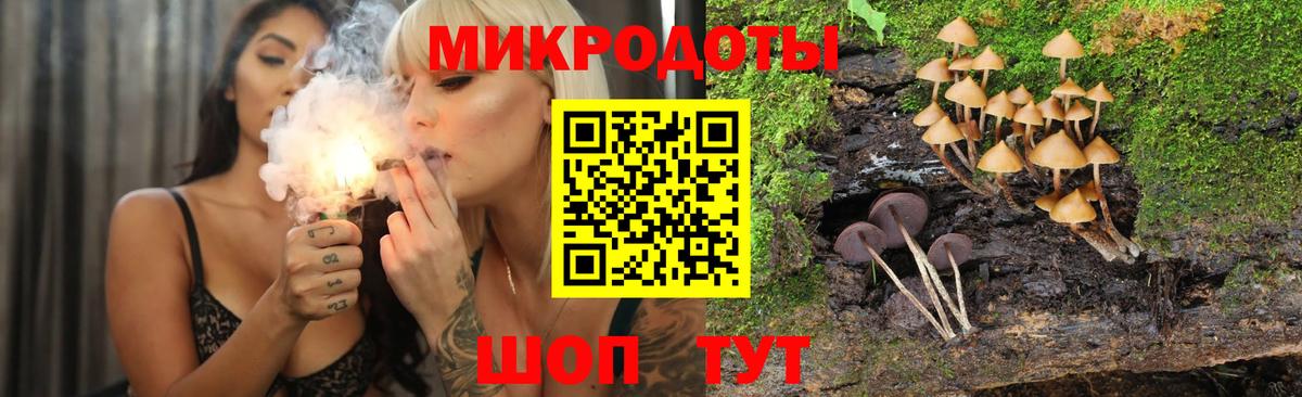 Псилоцибиновые грибы GOLDEN TEACHER Приморско-Ахтарск